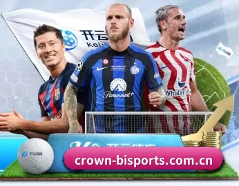 crown-bisports.com.cn的故事